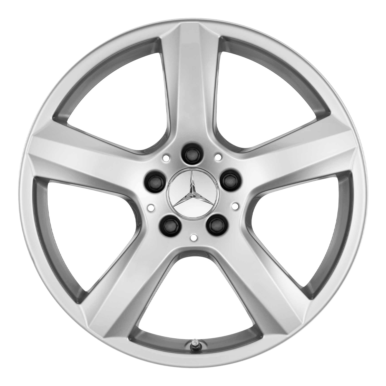Кованые диски Mercedes-Benz 5 Spoke v12