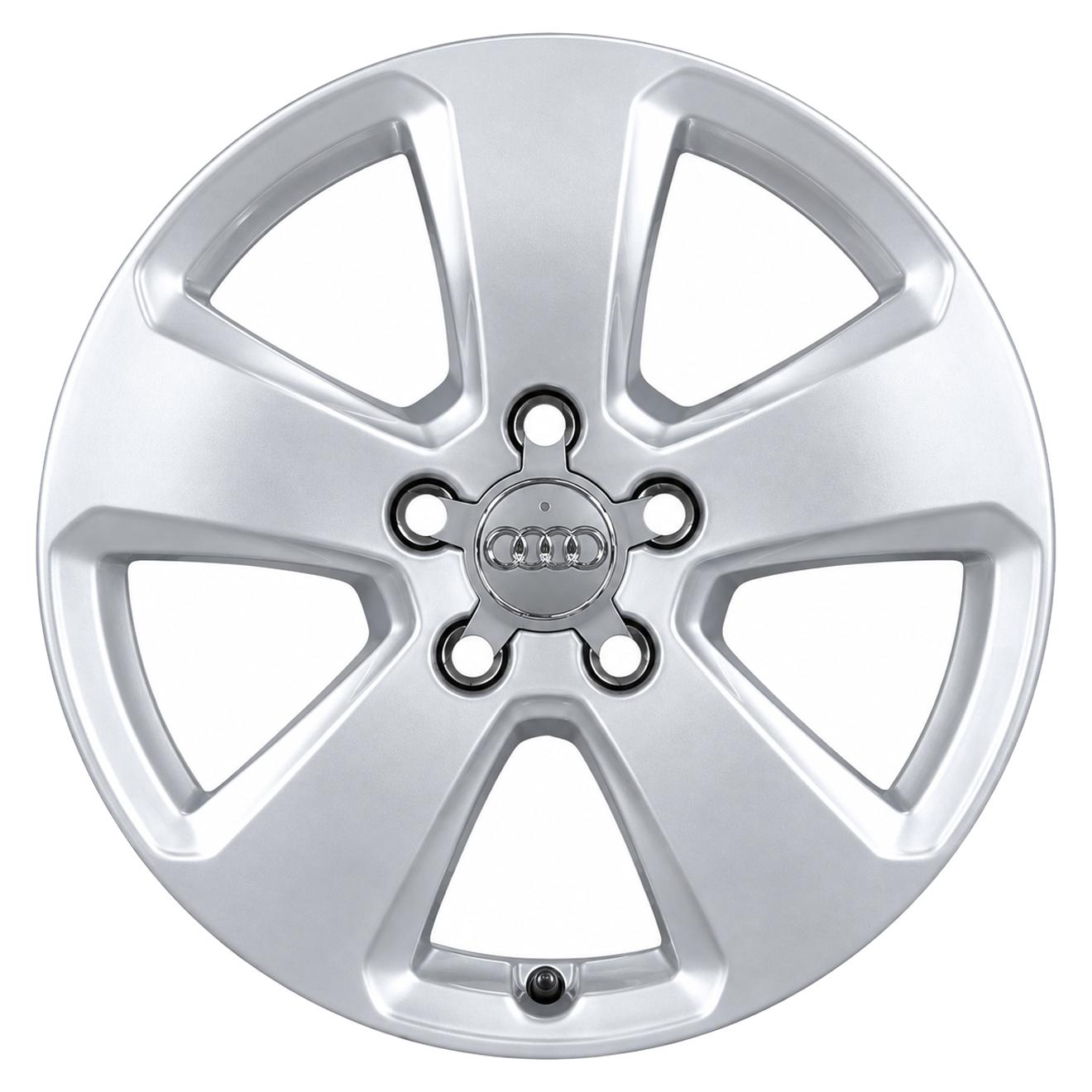 Кованые диски Audi 5 Spoke Design 8V