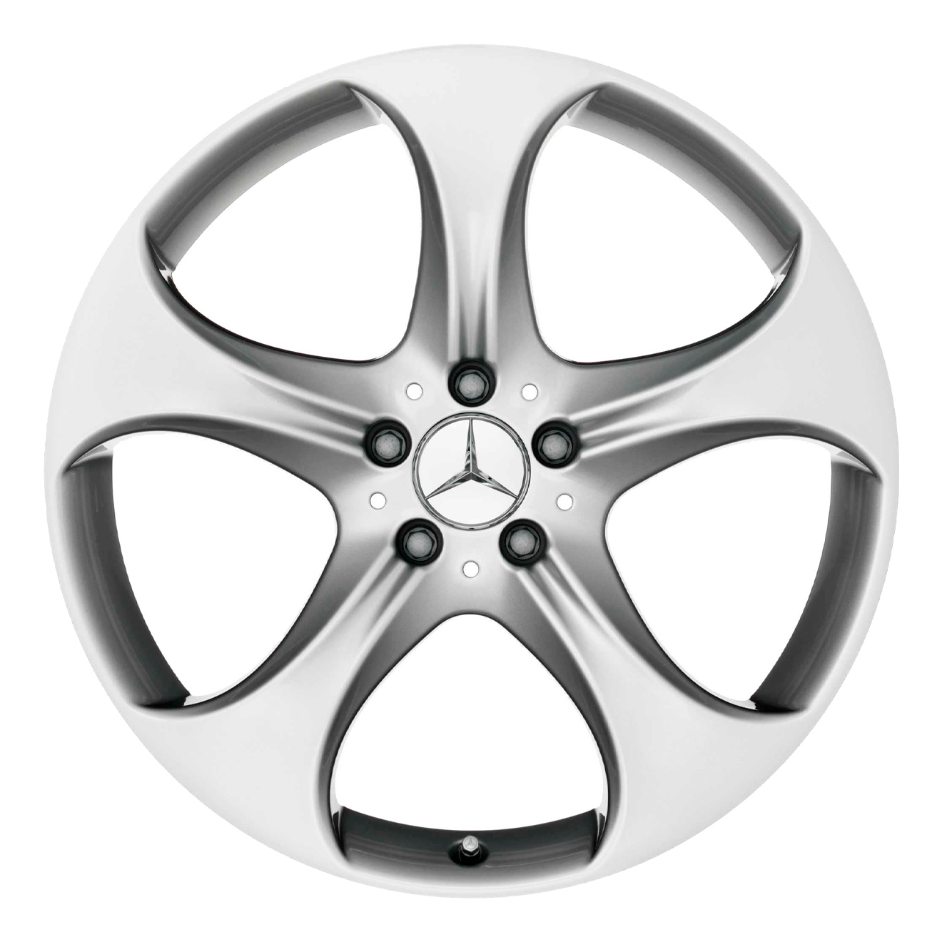Кованые диски Mercedes-Benz 5 Spoke v19