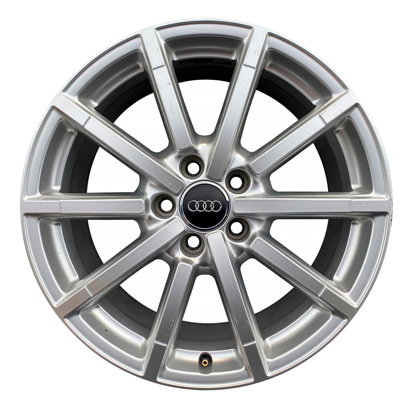Кованые диски Audi 10 Spoke v25