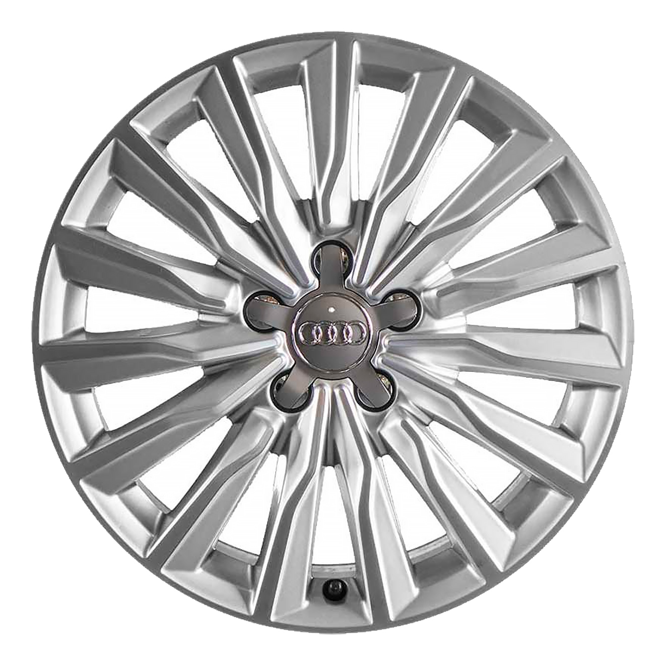 Кованые диски Audi 15 Arm Spoke v1