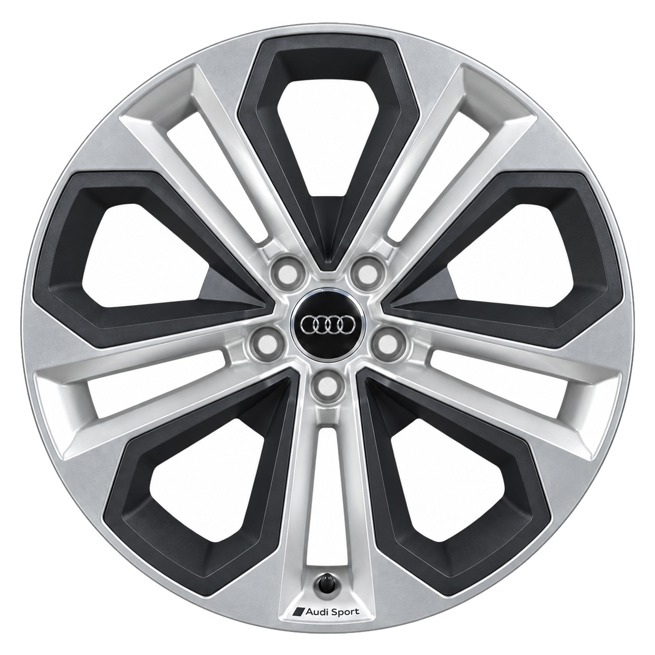 Кованые диски Audi 5 Arm Sport F3