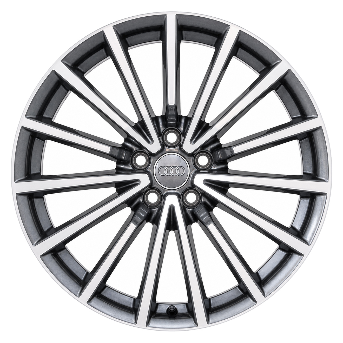 Кованые диски Audi 15 Spoke S-Line F5