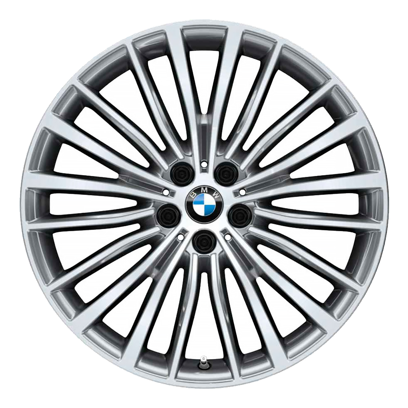 Кованые диски BMW 700