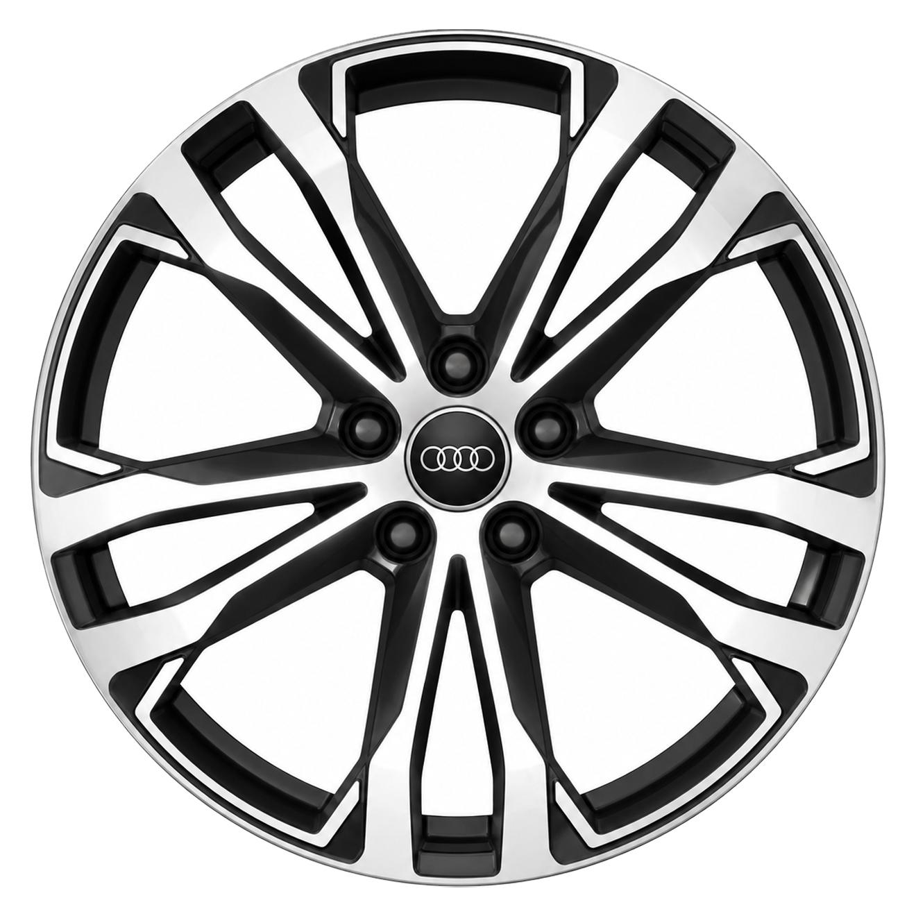 Кованые диски Audi 5 Twin Spoke U43