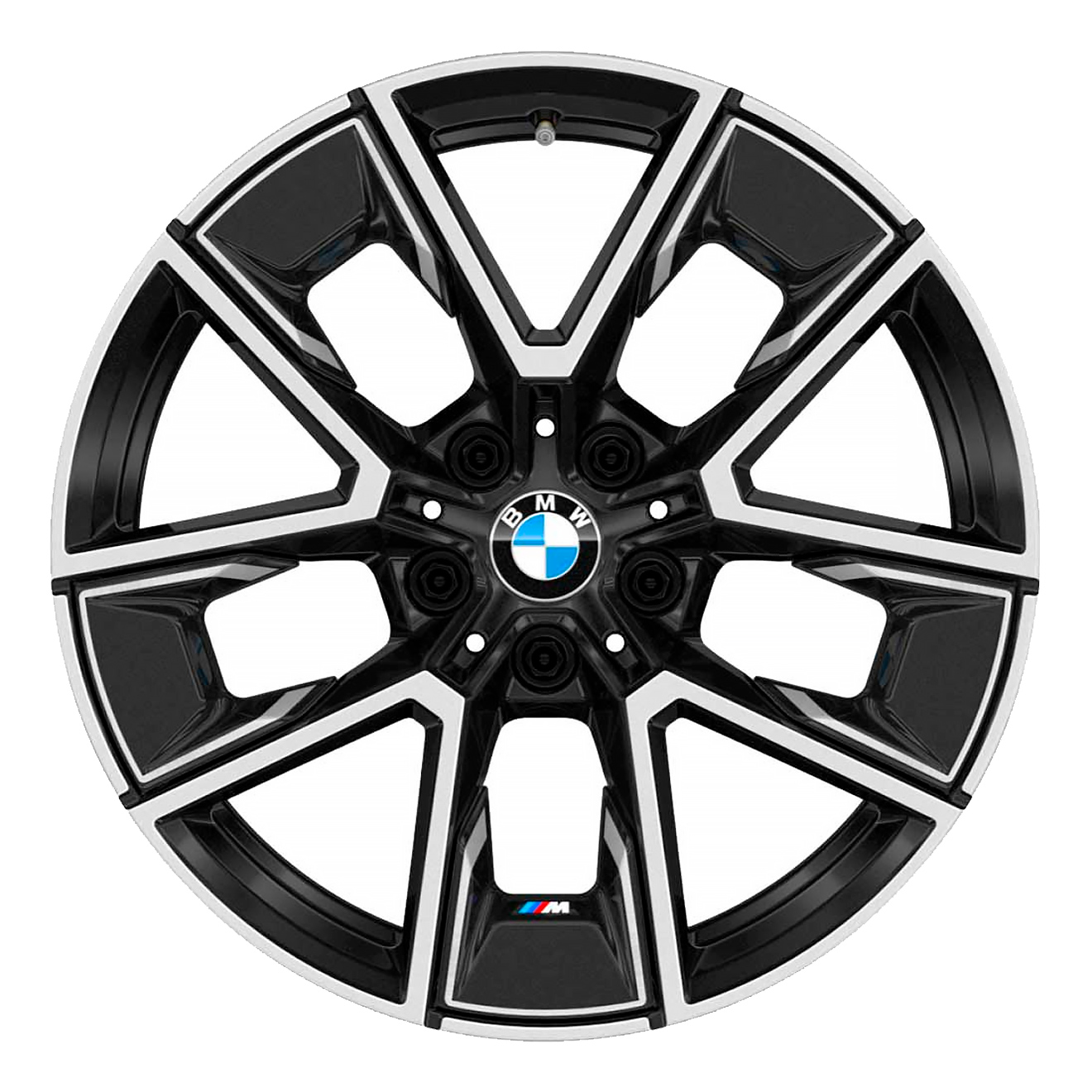Кованые диски BMW 858M