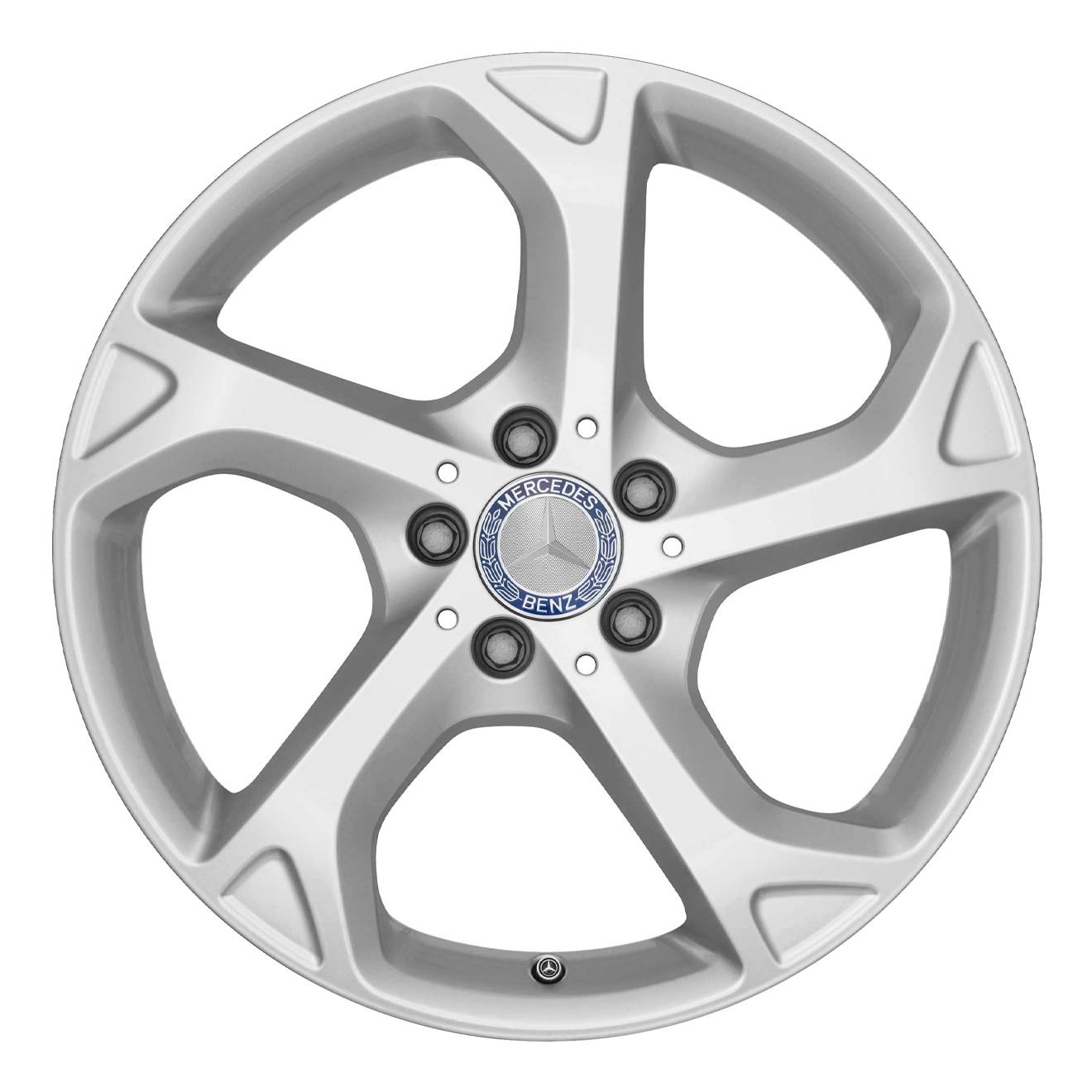 Кованые диски Mercedes-Benz 5 Spoke v9