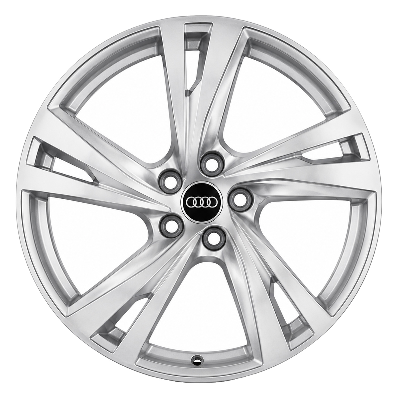 Диски Audi 5 Arm Twist 41I R24