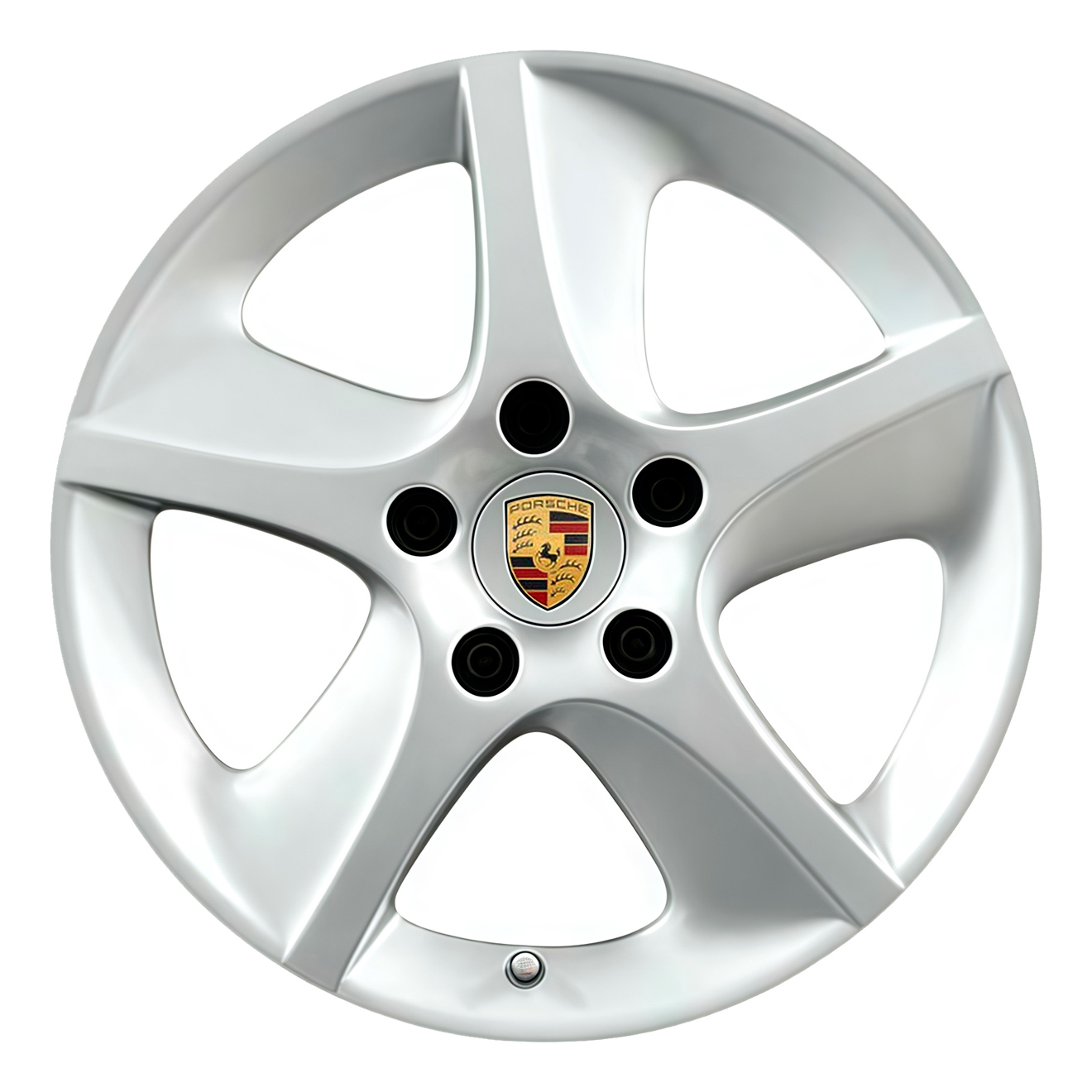 Диски Porsche Sport Techno R24