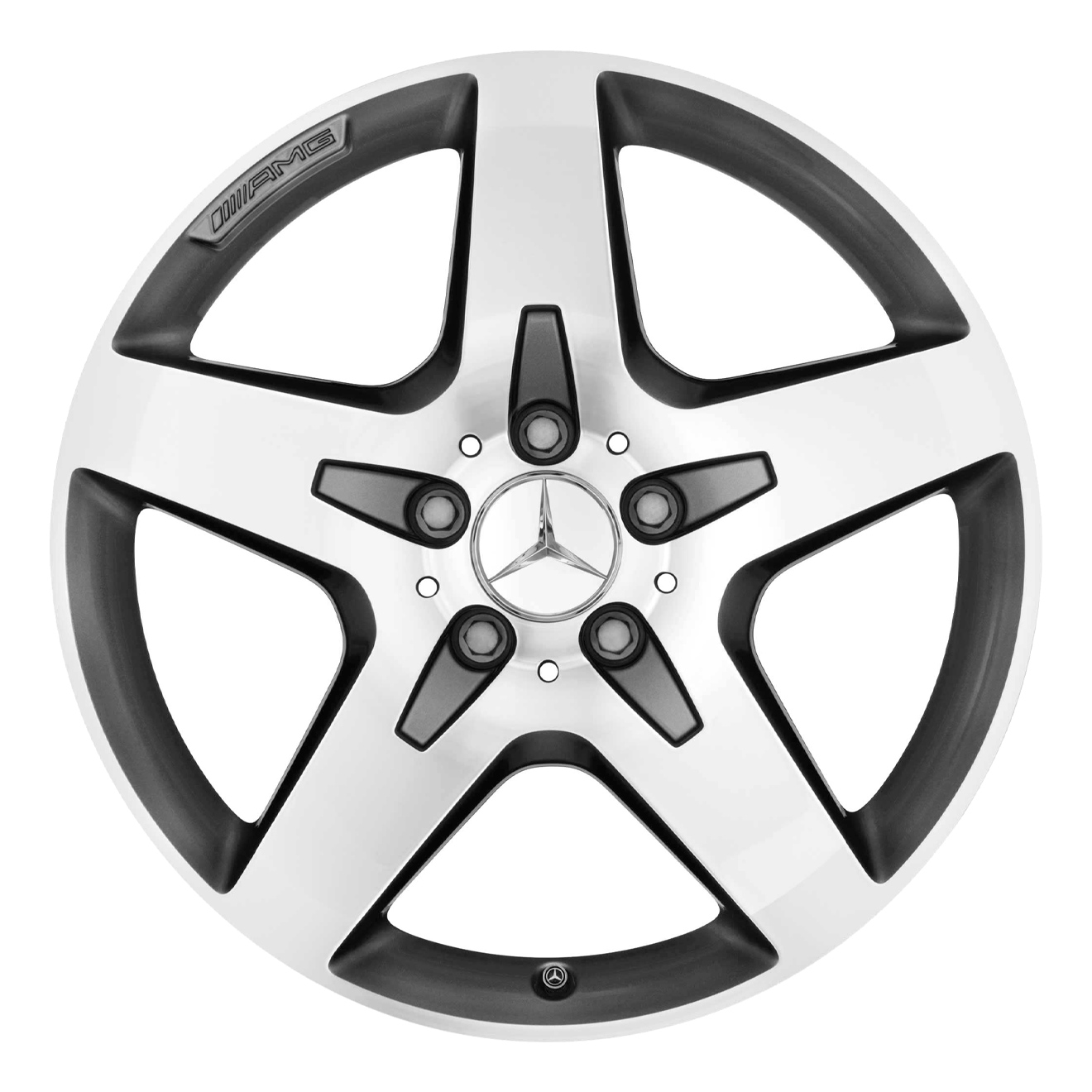 Кованые диски Mercedes-Benz 5 Spoke v11