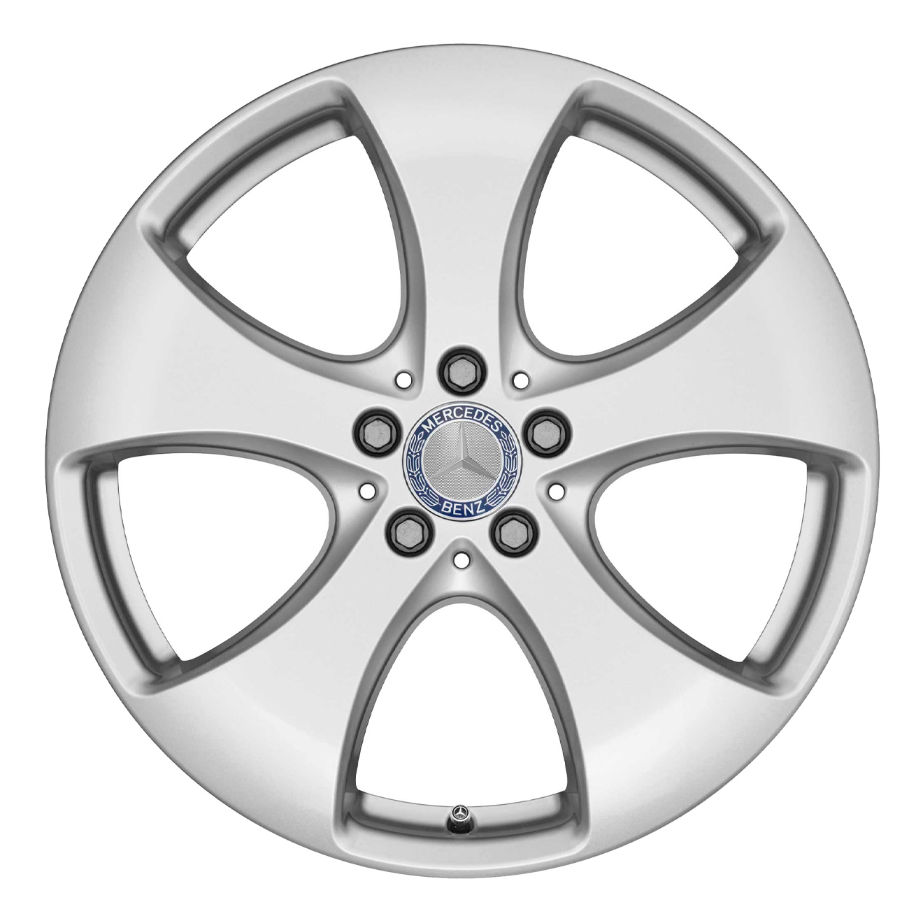 Кованые диски Mercedes-Benz 5 Spoke v6