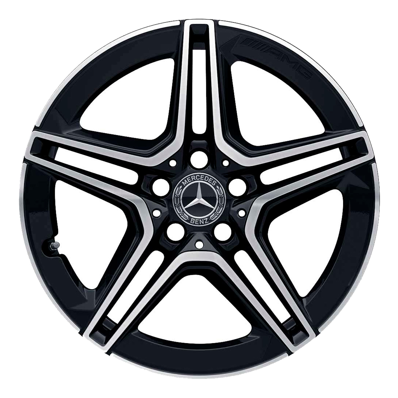 Кованые диски Mercedes-Benz AMG 5 Twin Spoke v4