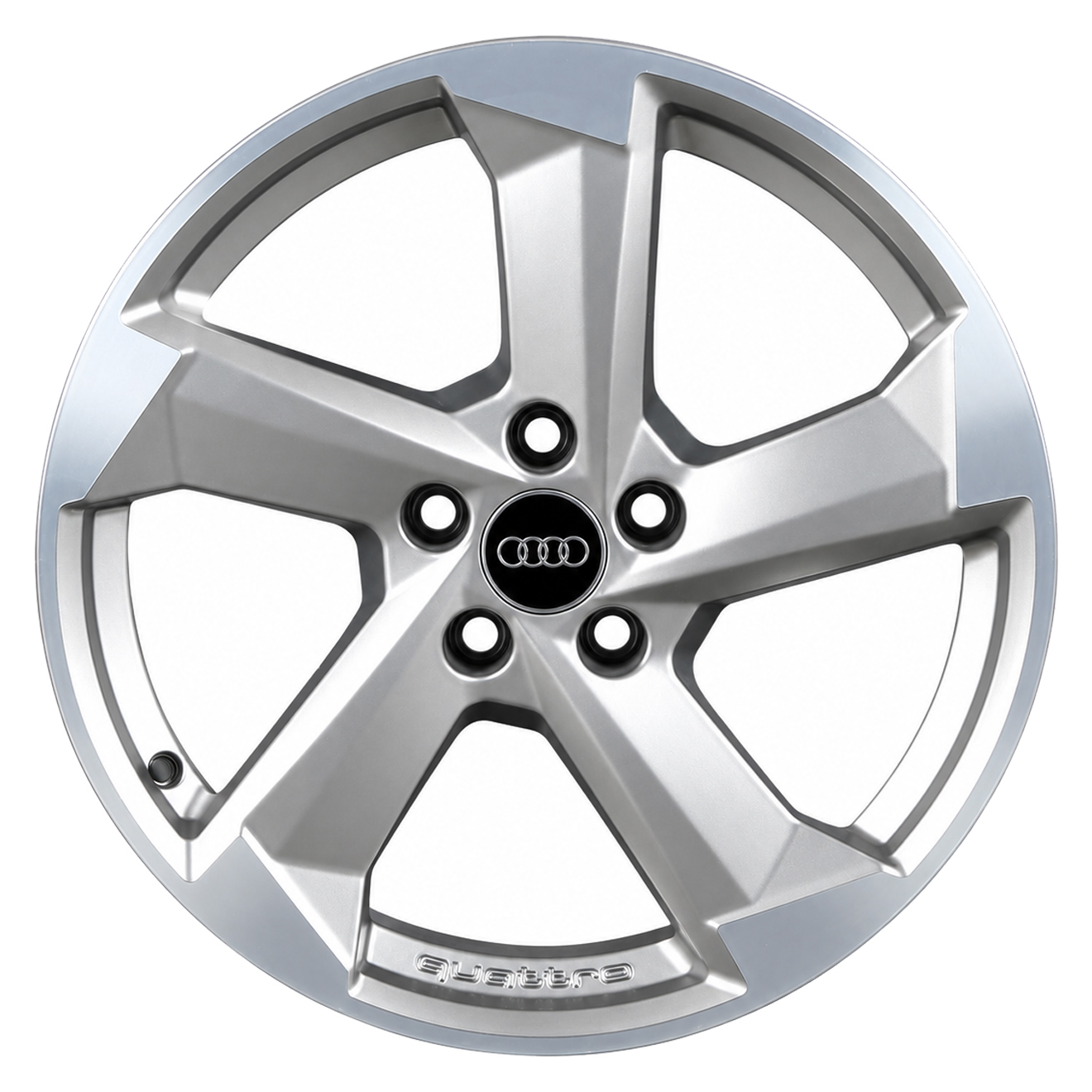 Кованые диски Audi S-Line Quattro 5 Arm 8W