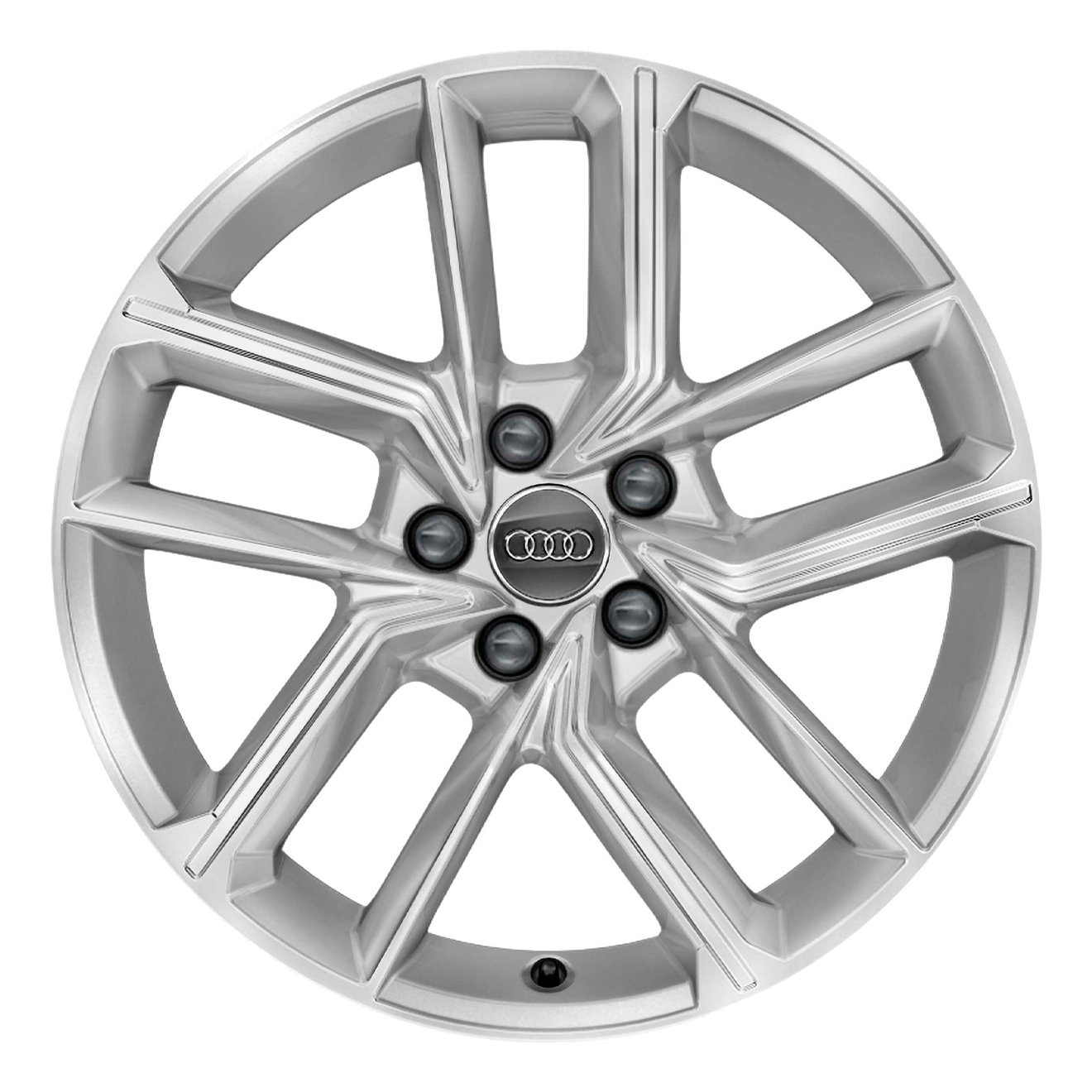 Кованые диски Audi 5 Double Spoke v1
