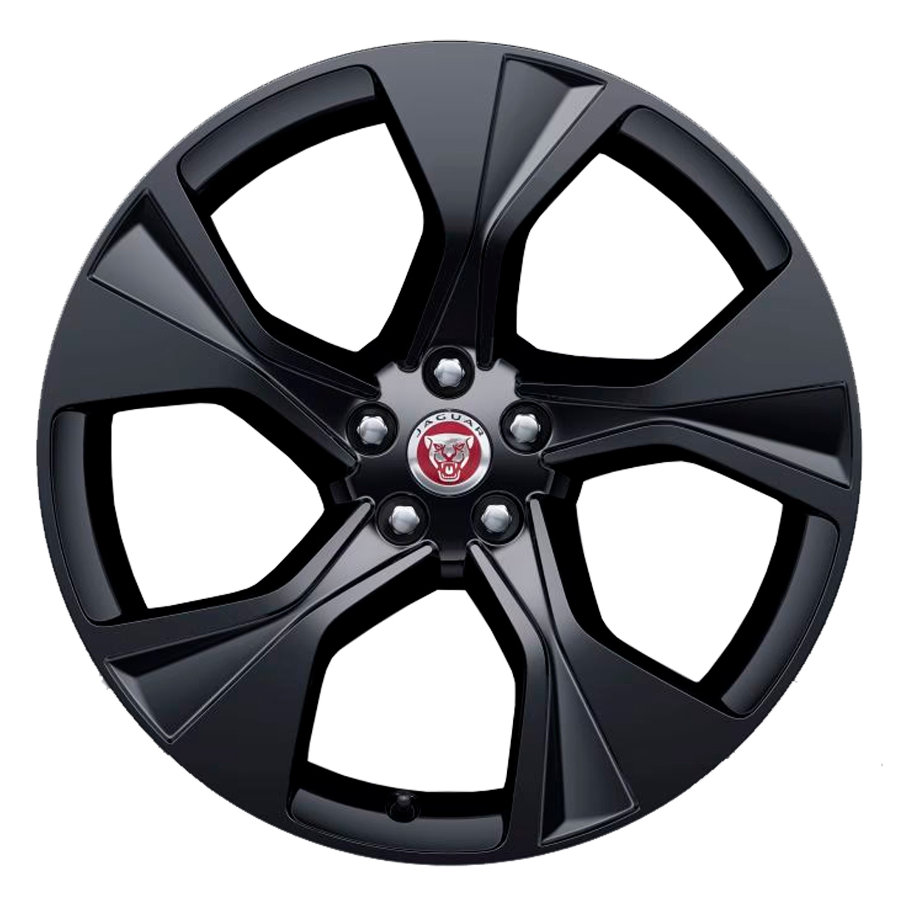 Кованые диски Jaguar 5 spoke #5102