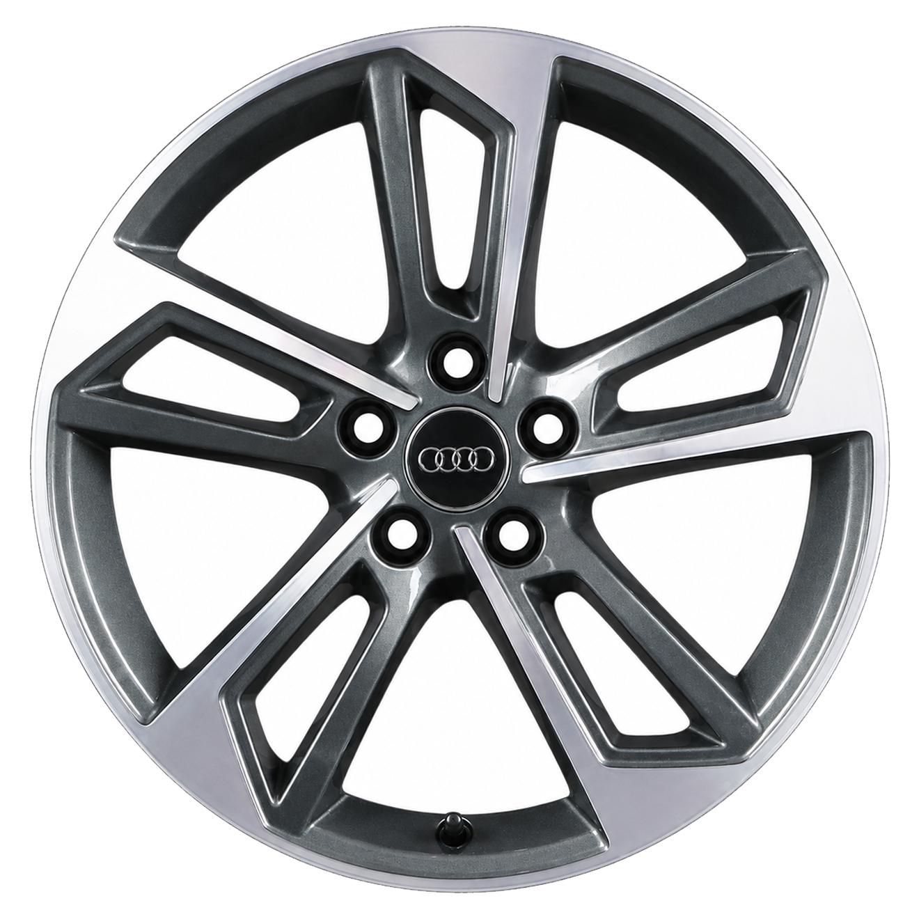 Кованые диски Audi 5 Double Spoke Trapezoid 8W