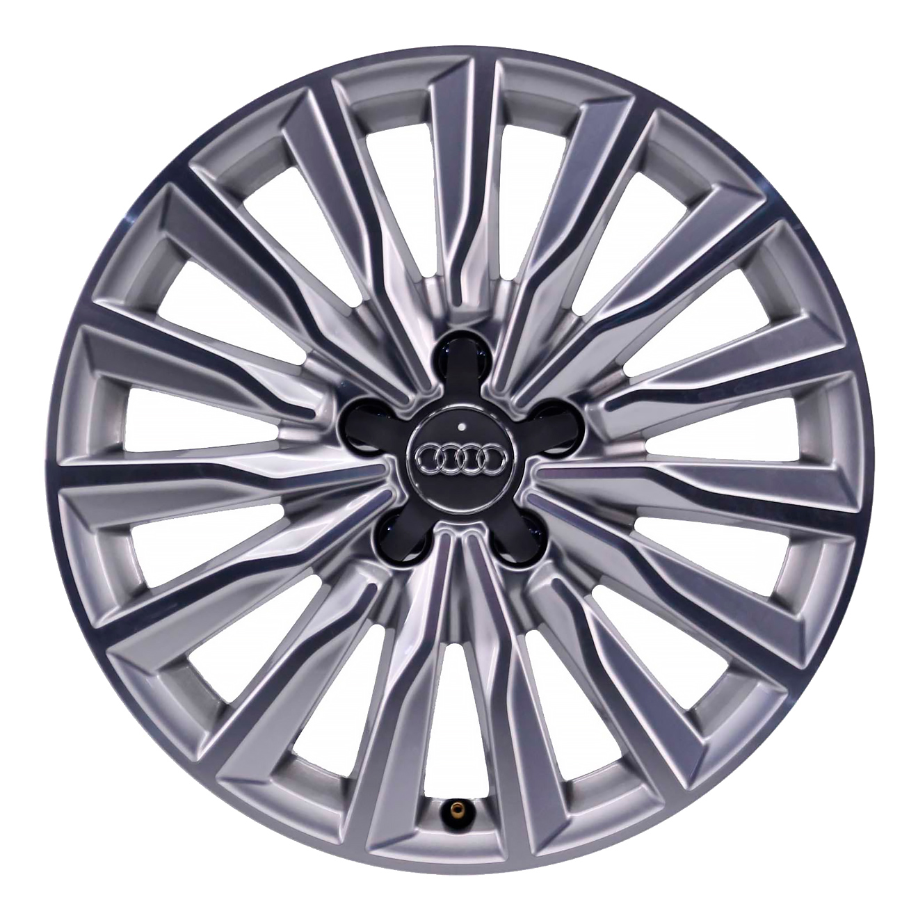 Кованые диски Audi 15 Arm Spoke v2
