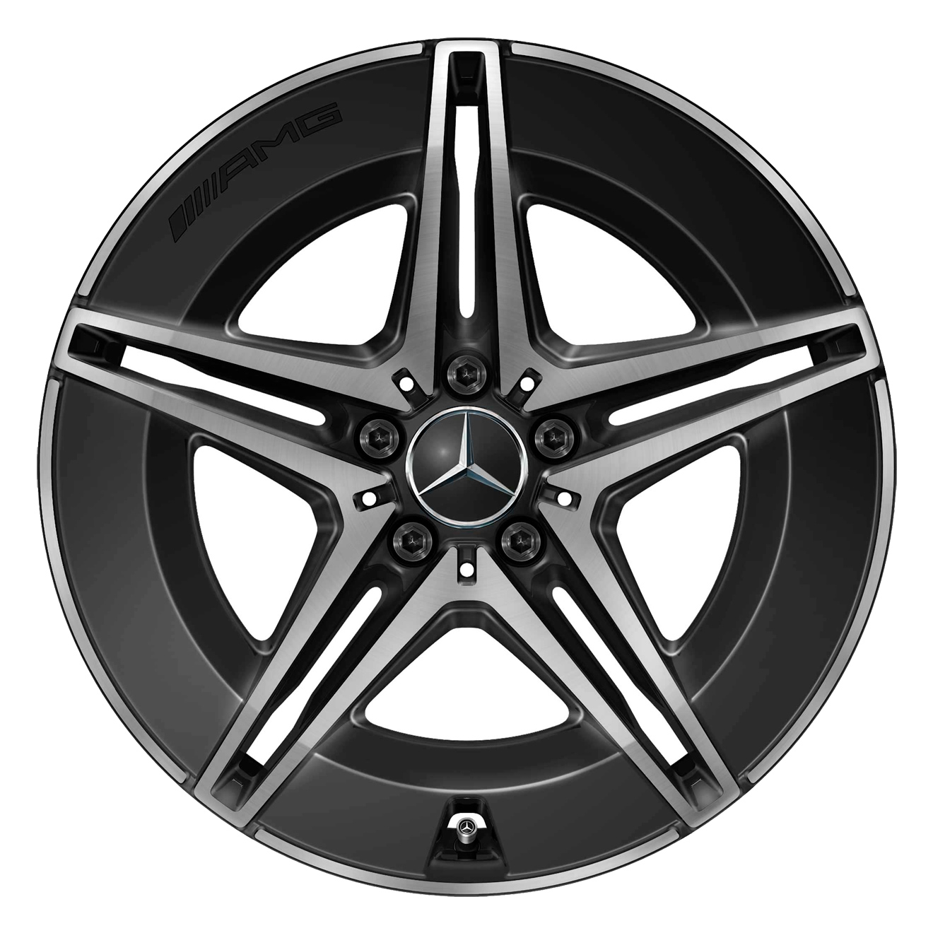 Кованые диски Mercedes-Benz AMG 5 Twin Spoke v17