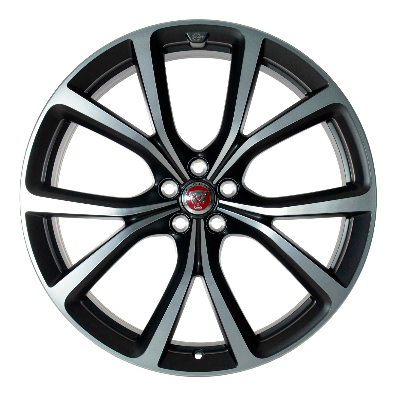 Jaguar Biganun #5081