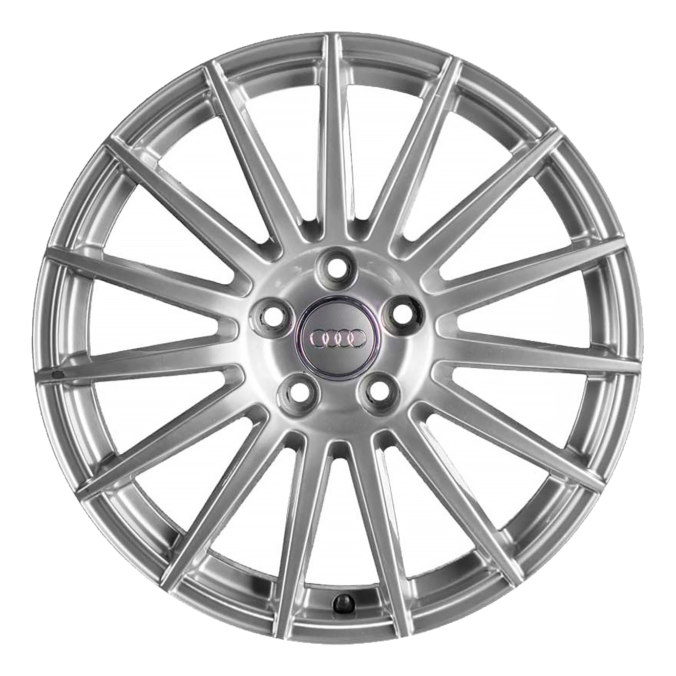Кованые диски Audi 15 Spoke v3