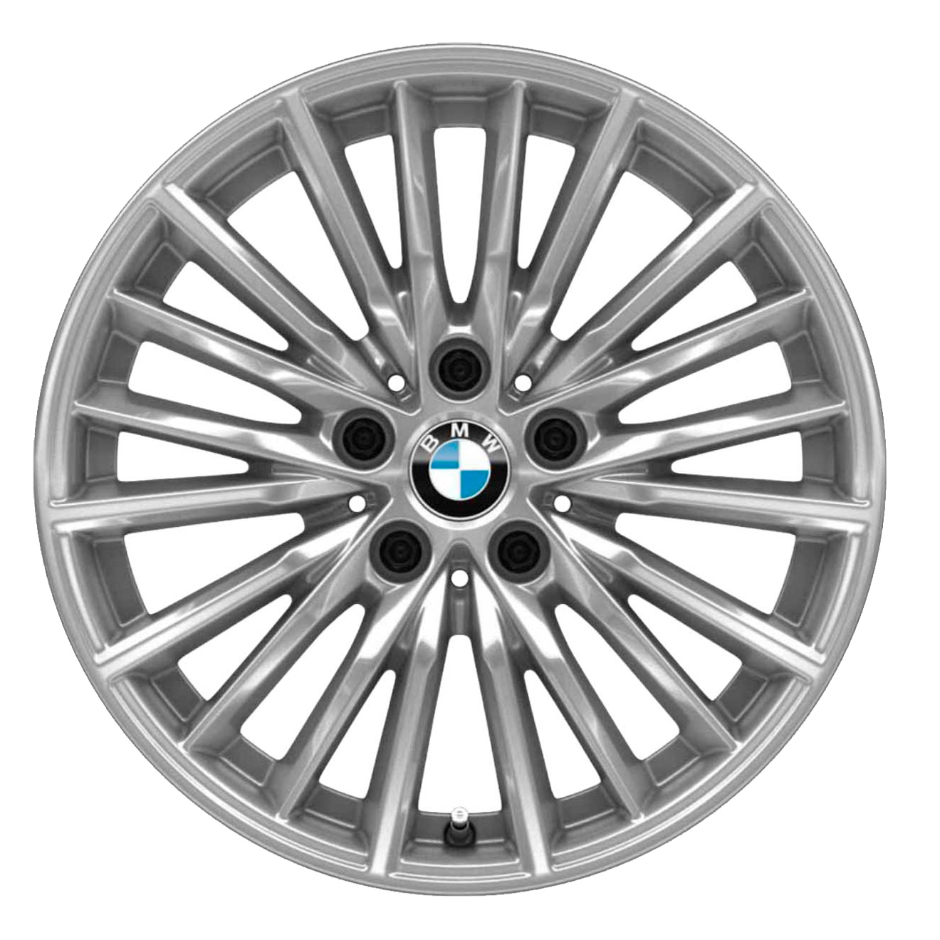 Кованые диски BMW 771