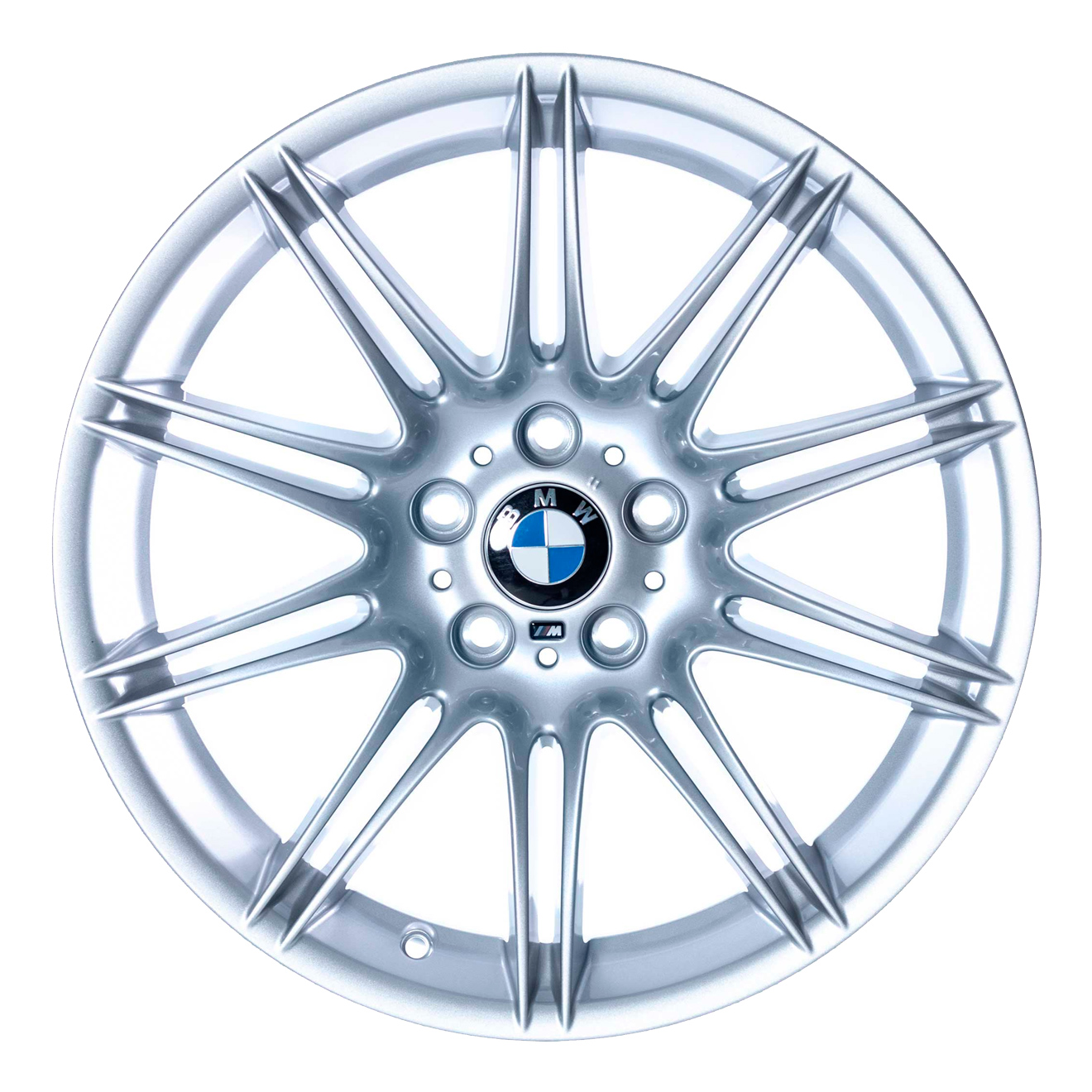 Кованые диски BMW 255M