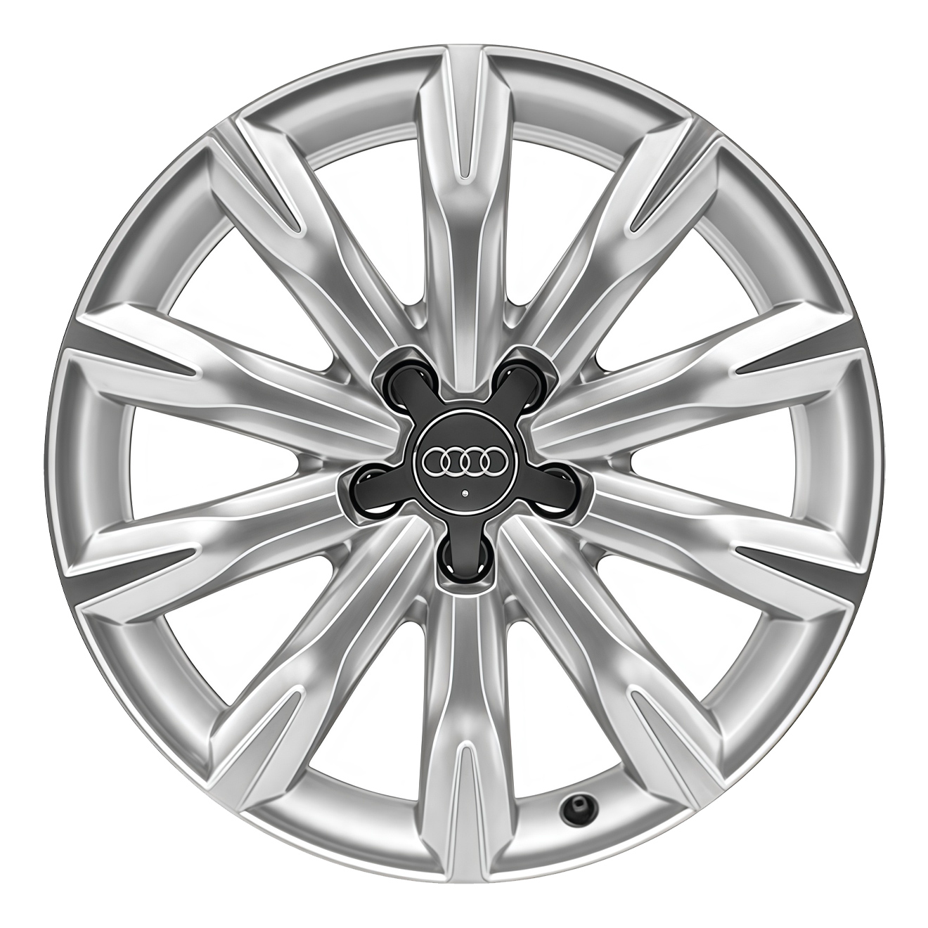 Кованые диски Audi 10 Spoke v28