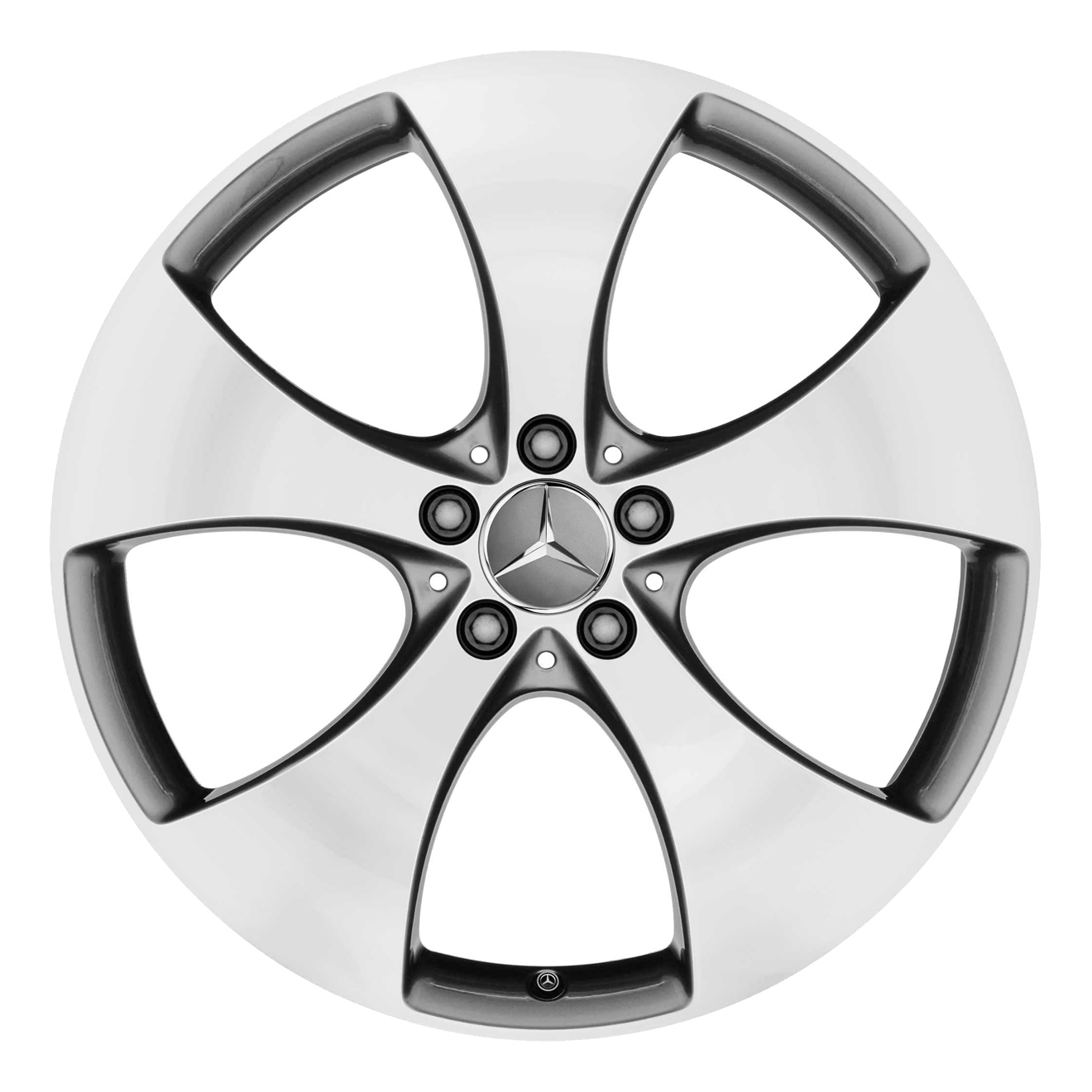 Кованые диски Mercedes-Benz 5 Spoke v8