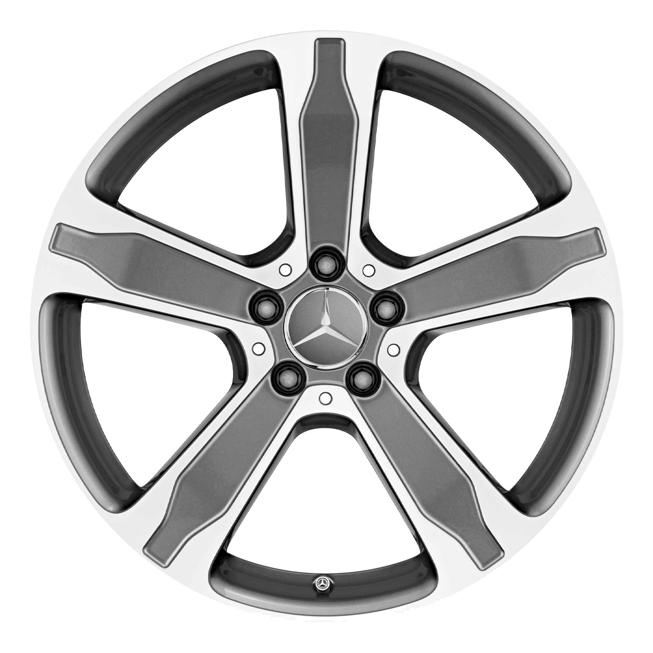 Кованые диски Mercedes-Benz 5 Spoke v10