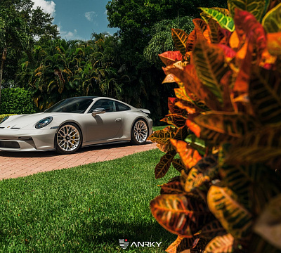 Фото дисков Anrky AN10 на Porsche 911 VIII