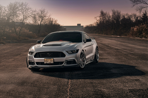 Фото дисков HRE FF10 Серебро на Ford Mustang VI