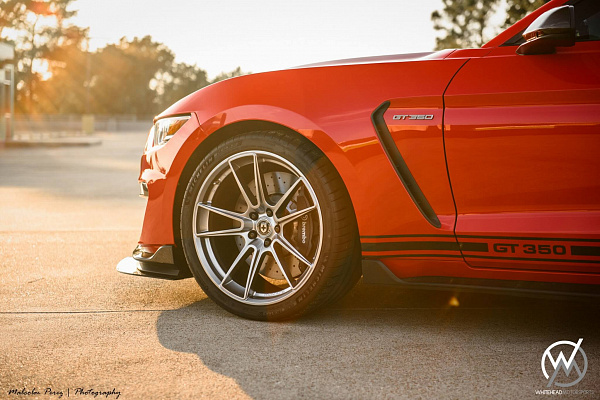 Ford Mustang Shelby GT350