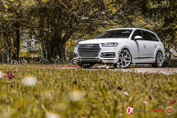 Фото дисков Vossen CG-205 Серебро на Audi Q7 (4M)