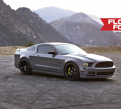 Фото дисков HRE FF04 на Ford Mustang V