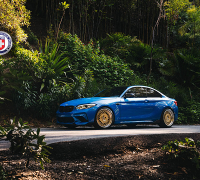 Фото дисков HRE 501 на BMW 2/M2 (F22/F87)