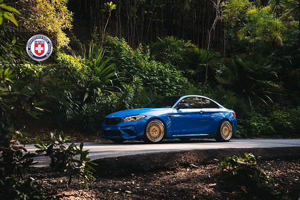 Фото дисков HRE 501 Глянцевый графит на BMW 2/M2 (F22/F87)