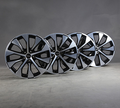Audi 10 Spoke Aero 4P