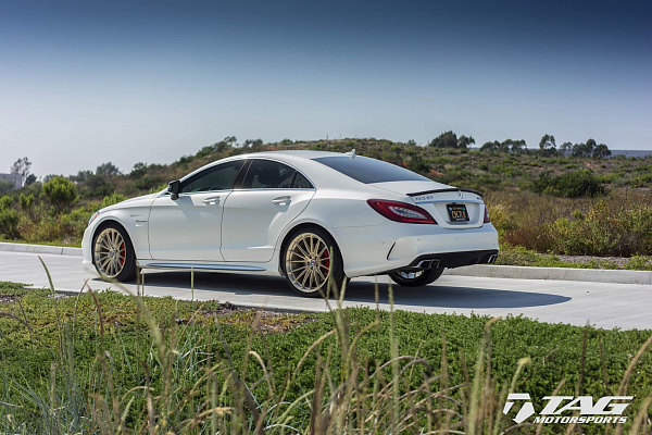 Фото дисков HRE P103 Глянцевая шампань на Mercedes-Benz CLS (C218)