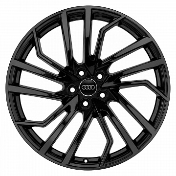 Кованые диски Audi 5 Segment Spoke Evo RS