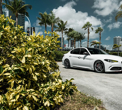 Vossen M-X1