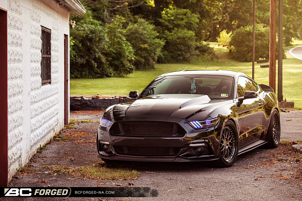Фото дисков BC Forged LE81 // MLE81 Матовый графит на Ford Mustang VI