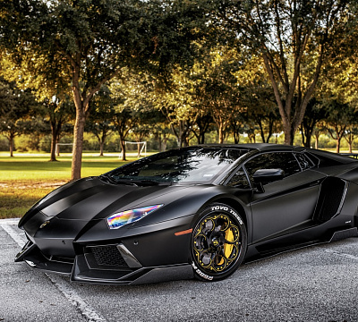Savini SV69