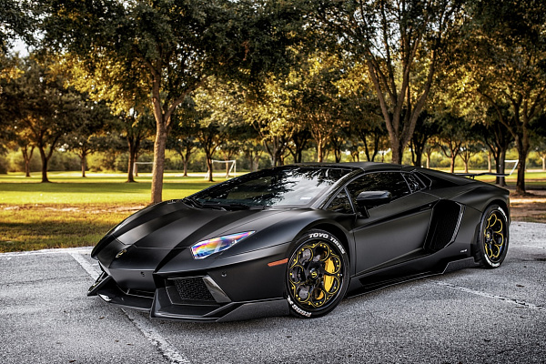Фото дисков Savini SV69 Другой цвет на Lamborghini Aventador