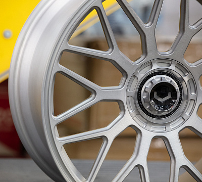 Vossen GEN-03