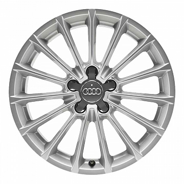 Кованые диски Audi 15 Spoke v2