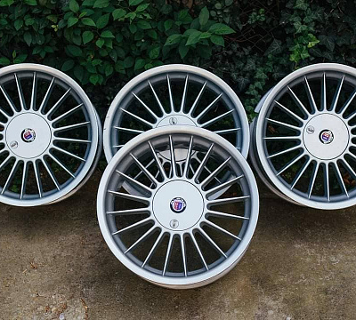 Alpina Classic C95