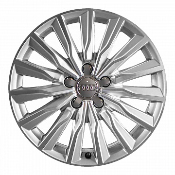 Кованые диски Audi 15 Arm Spoke v1