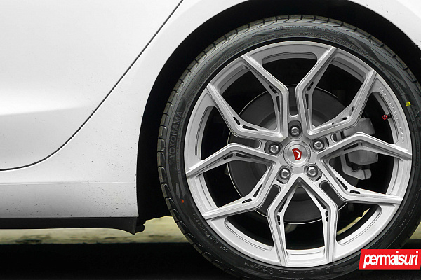 Фото дисков Vossen EVO-3R Глянцевый тонированный лак на Tesla Model 3