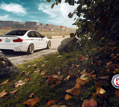 Фото дисков HRE R101 на BMW 3/M3 (F3x/F80)