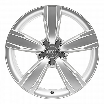 Кованые диски Audi 5 Spoke v44